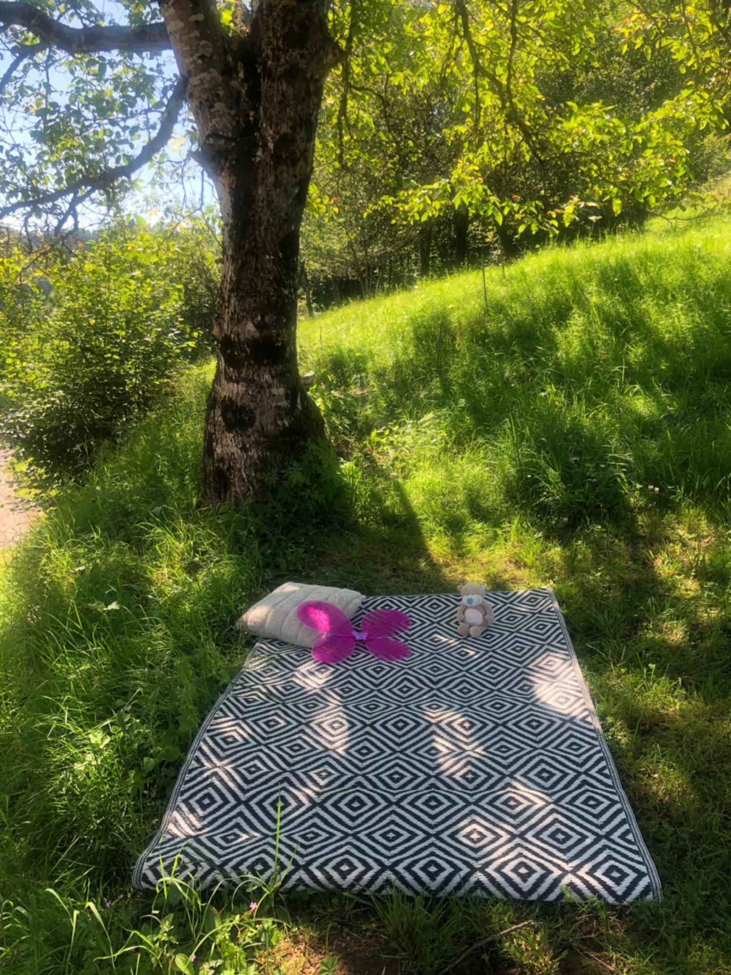 La Maisonnee Heureuse La Bresse Esterno foto